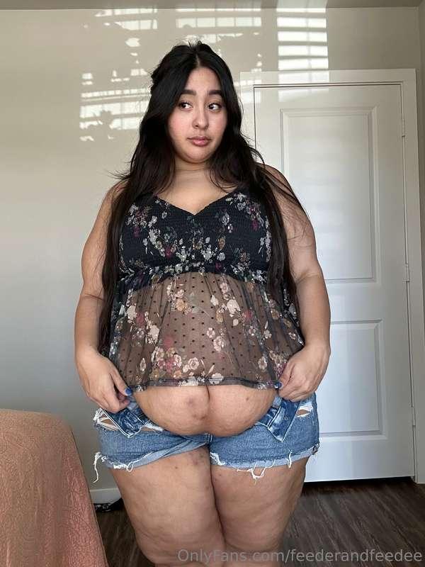 feederandfeedee image #3