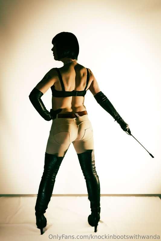 Ponies! Line up for inspection!  Image: Paavo Ylämäki