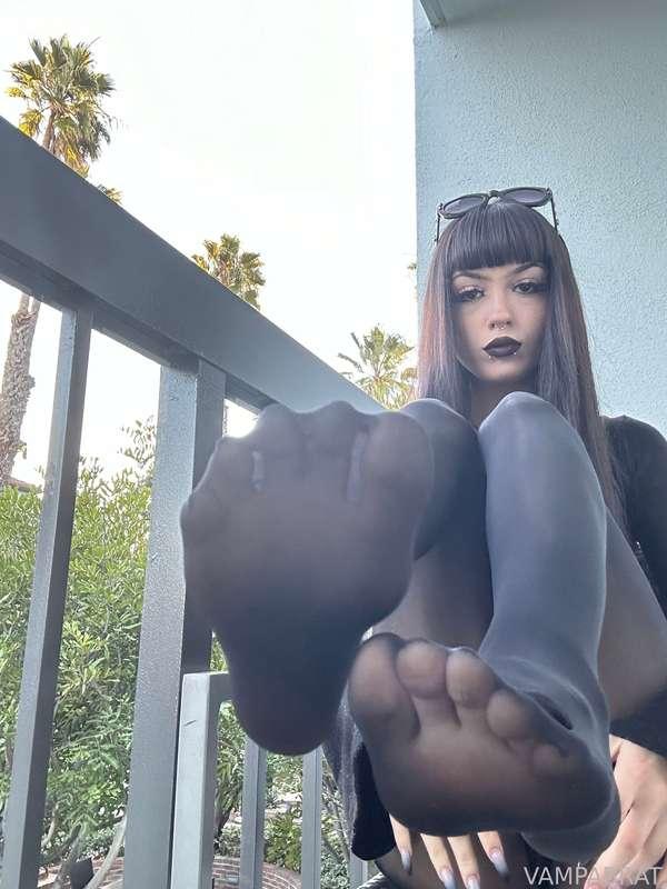 madamzombodomme image #3