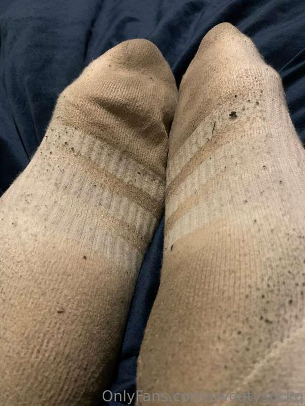 sweatysockq image #4
