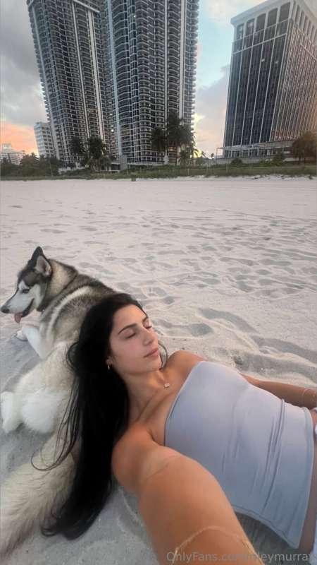 🐶🌊🤍