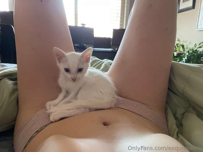 You know you want to pet this pussy.
