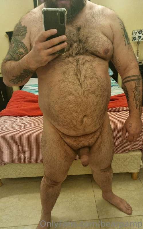 bearpamp image #1