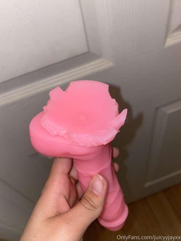 My puppy ate up my dildo! 😭 who wants to buy me a new one? 🥺