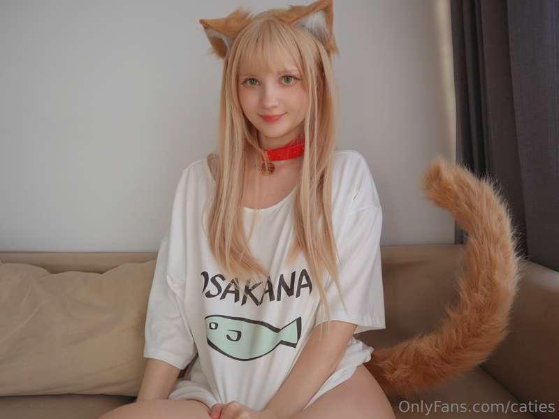 ‎ ∧,,,∧(  • · • )/    づ♡ Say Meow 