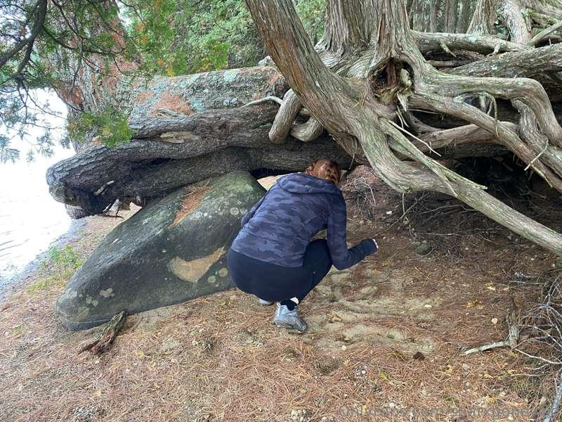 This is why you can't take me on hikes