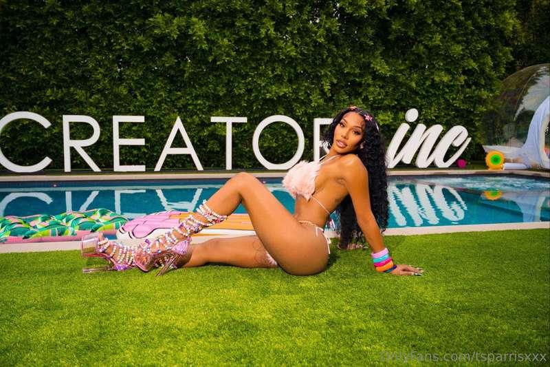 tsparrisxxx image #0