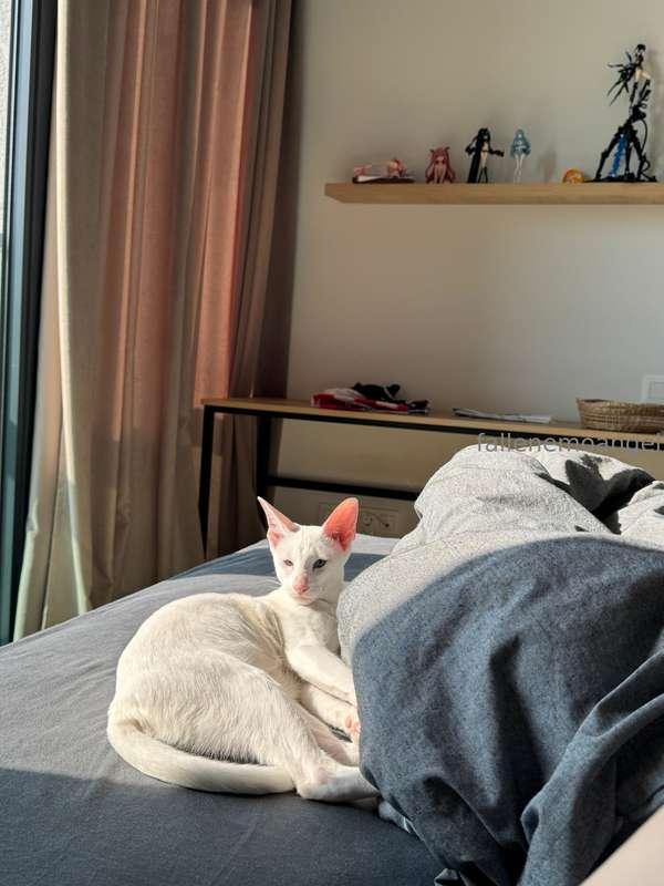 good morning with me and my kitty >.<