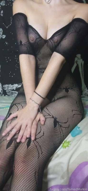 tamedmalkin image #14