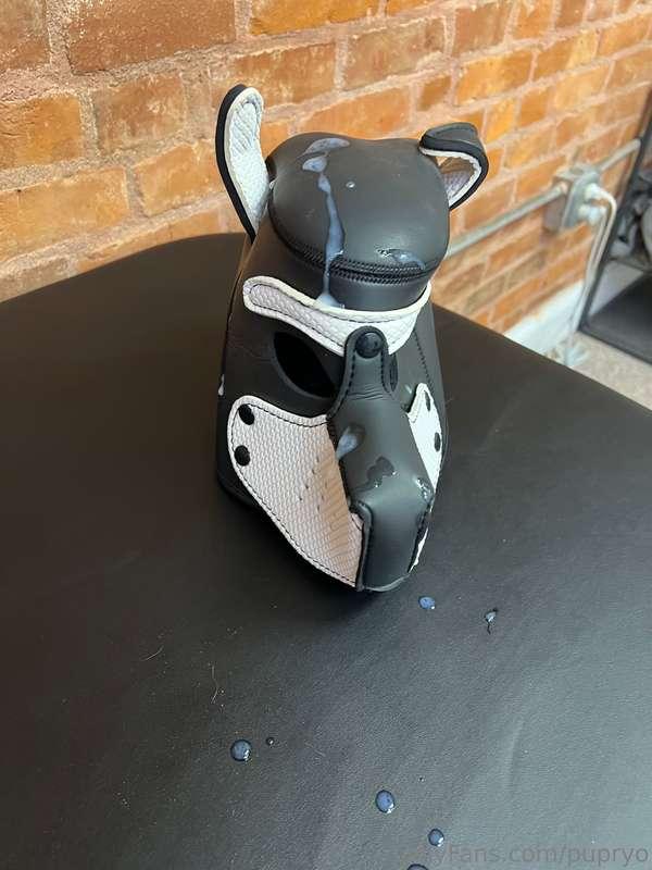 Puppy busted a nice load all over one of my first hoods 