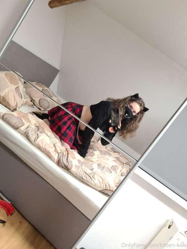 kitten-kiwi image #6