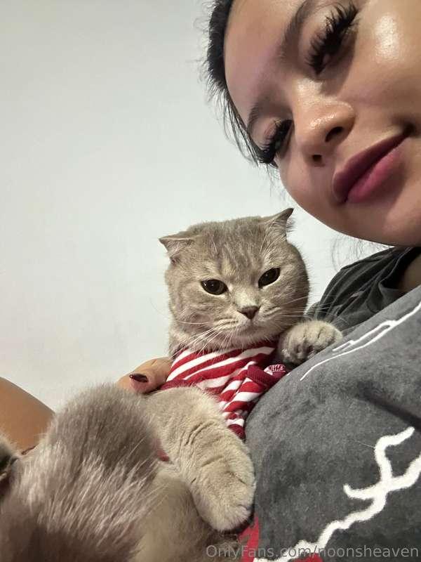 meow 🐱