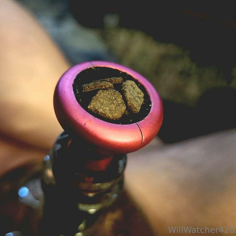 Where are my stoney fans at? Say hi, who wants to smoke with..