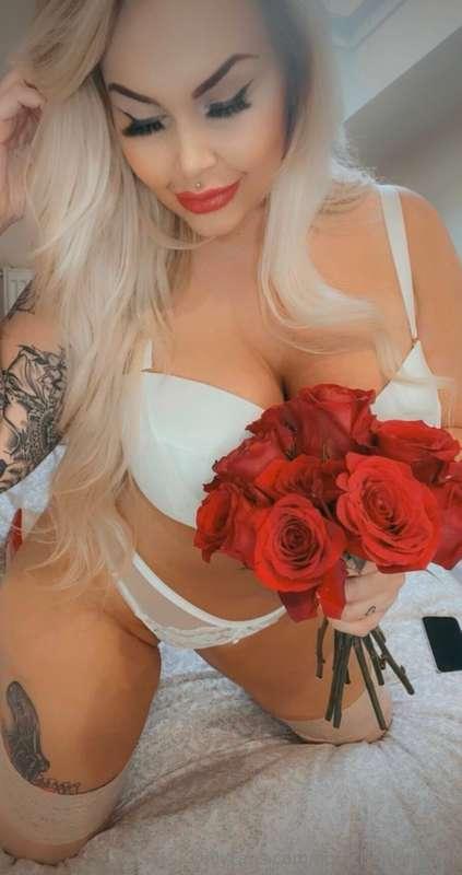 🌹🌹🌹