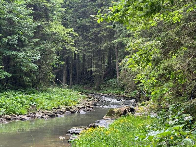 sulted_sult image #8