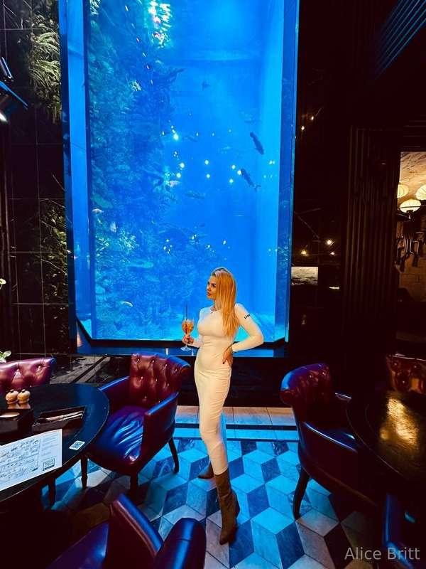 The perfect evening: cocktail, aquarium and my best attitude..