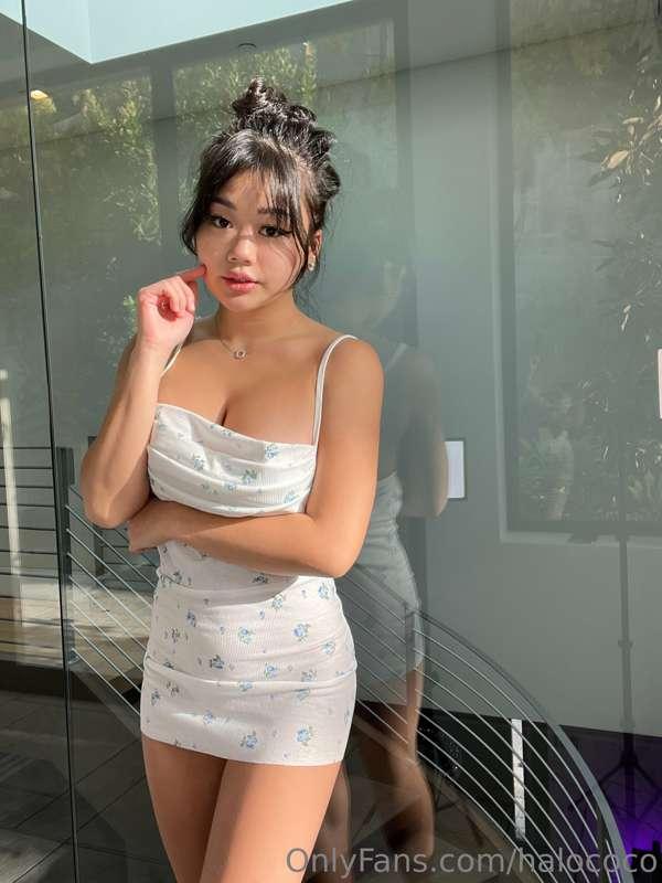 halococo image #1