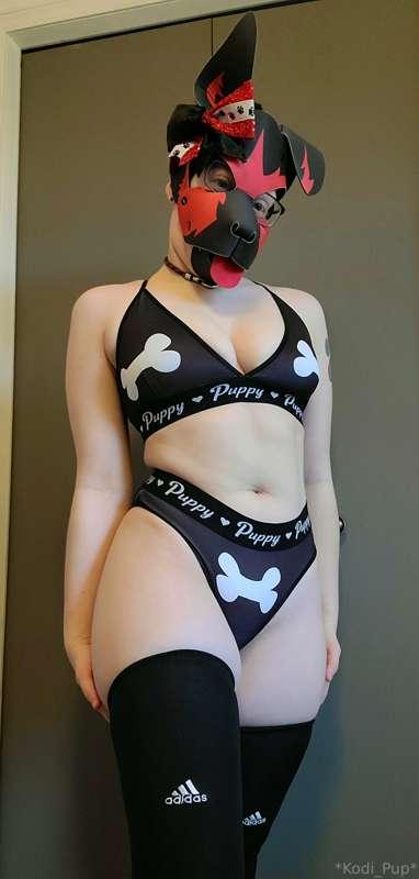 kodi_pup image #1