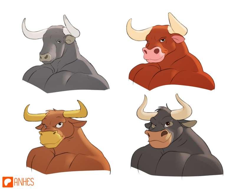 Bull faces