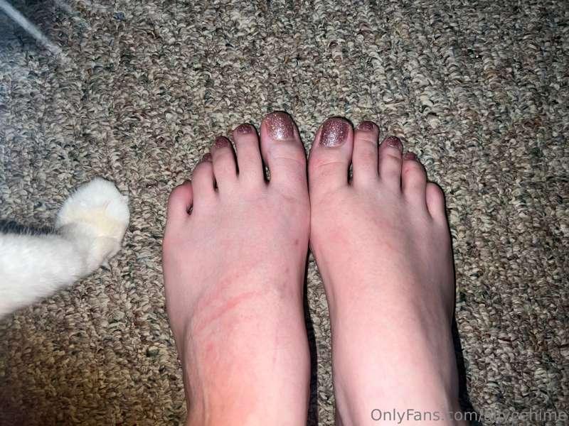 Artemis wanted to join in the peet pics  Anyways new pedicur..