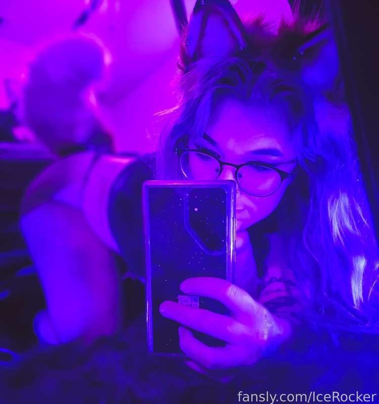 What does the fox say?