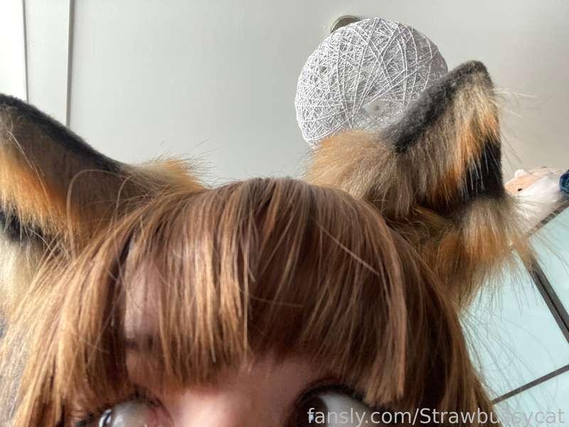 strawbussycat image #1