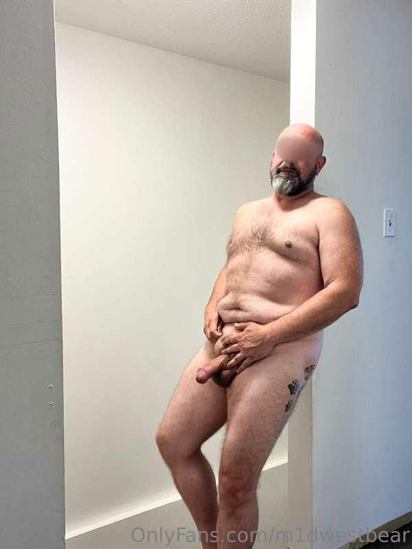 m1dwestbear image #1