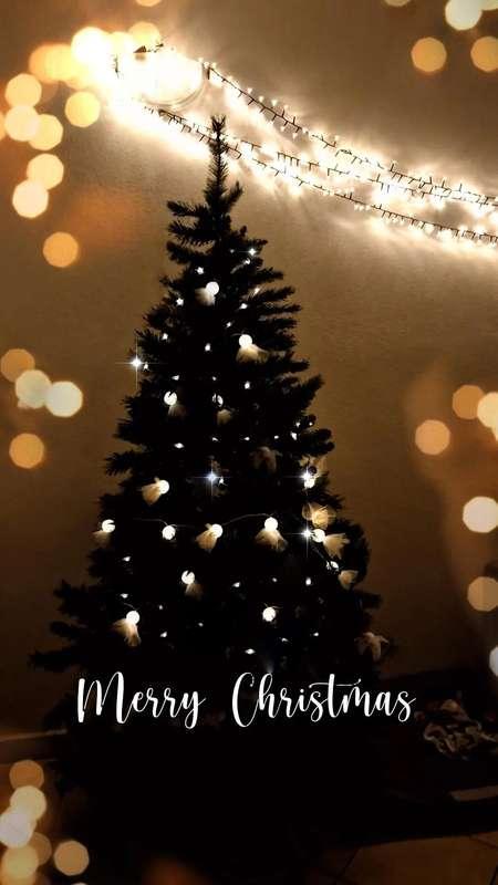 artikleopard_artist image #0