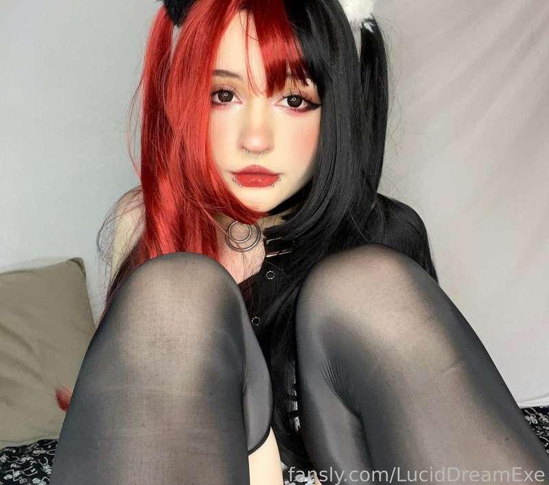 luciddreamexe image #0
