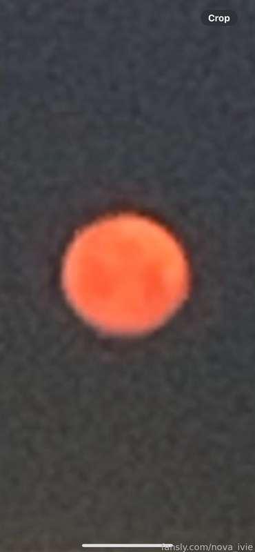 sorry this is such a bad pic 🙈 but I wanted to show you the moon I saw this morning! I had to zoom in a lot so you don’t see where I live 😋 

she is full and this is called the flower moon! such beautiful colors, I had to share 🌕

I’ll be putting out all my crystals tonight to charge ✨ I never sleep well under a full moon. I’m a cancer, so I’m ruled by the moon, so when she is awake, I am awake 😋

#fyp #moon #flowermoon #fullmoon #cancer #magic #magick #zodiac #witch #universe #divine 