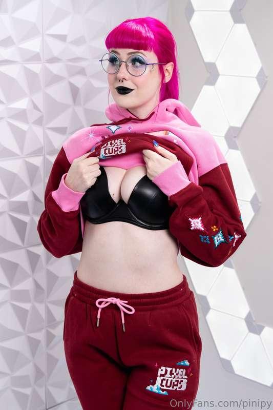 pinipy image #0