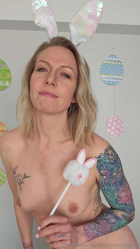 🐰🐰