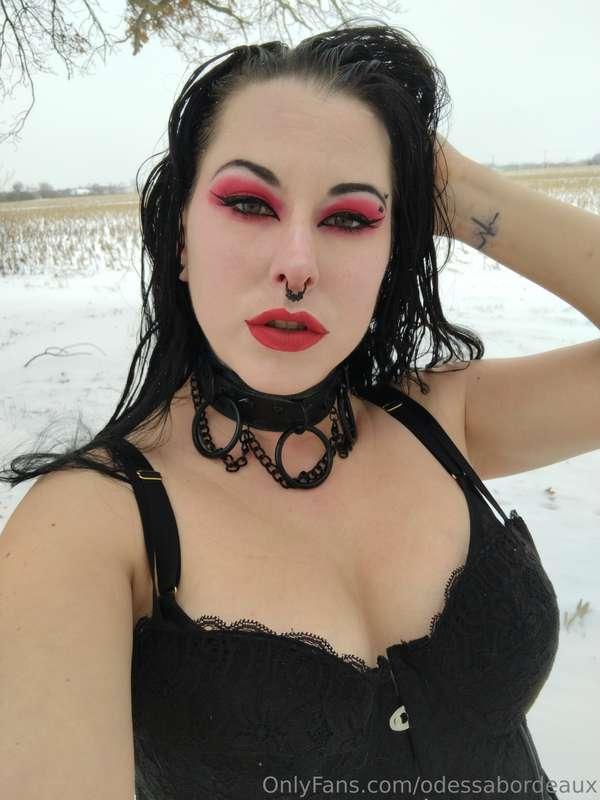 odessabordeaux image #1