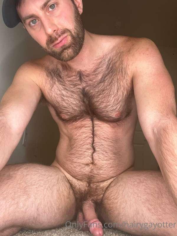 hairygayotter image #4