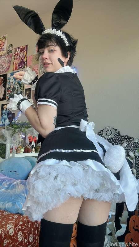 indigowhite image #51