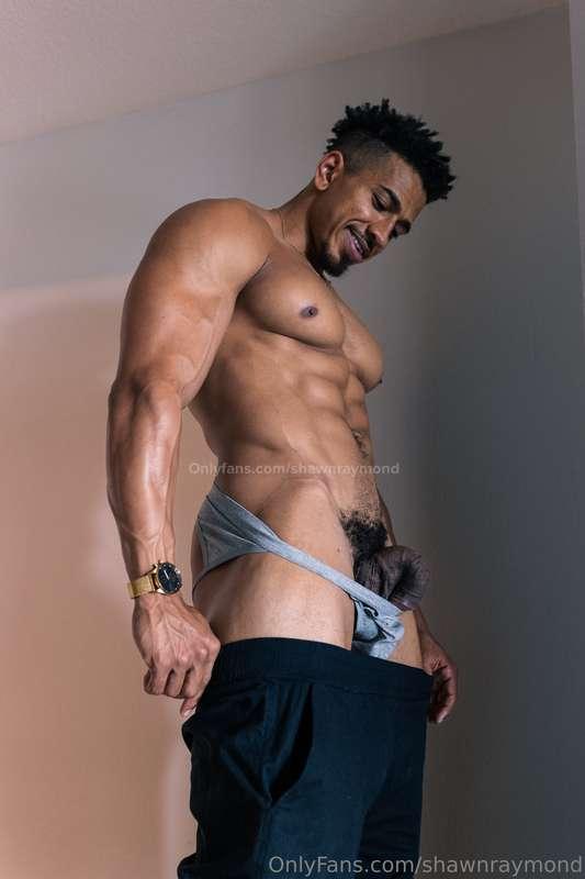 shawnraymond image #0