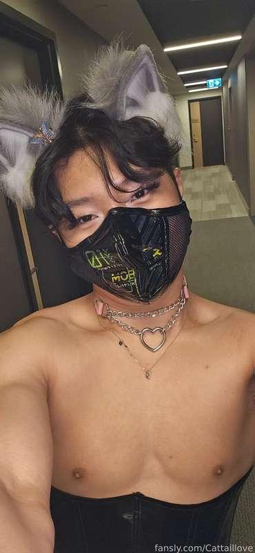 cattaillove image #12