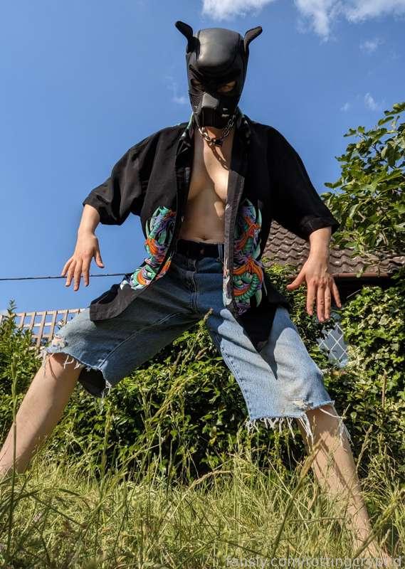 rottingcryptid image #3