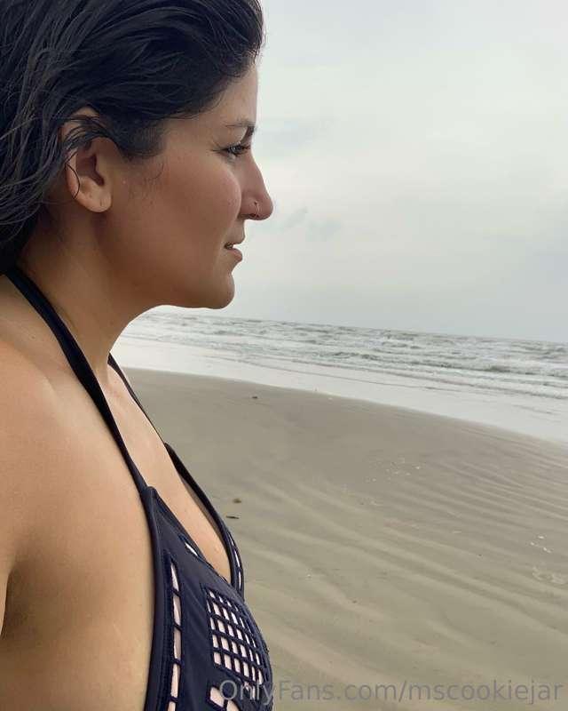 mscookiejar image #0