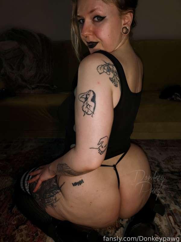 donkeypawg image #10