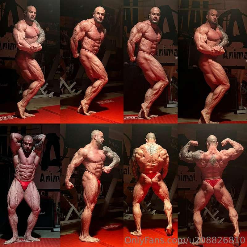 Next show getting close! Shredded