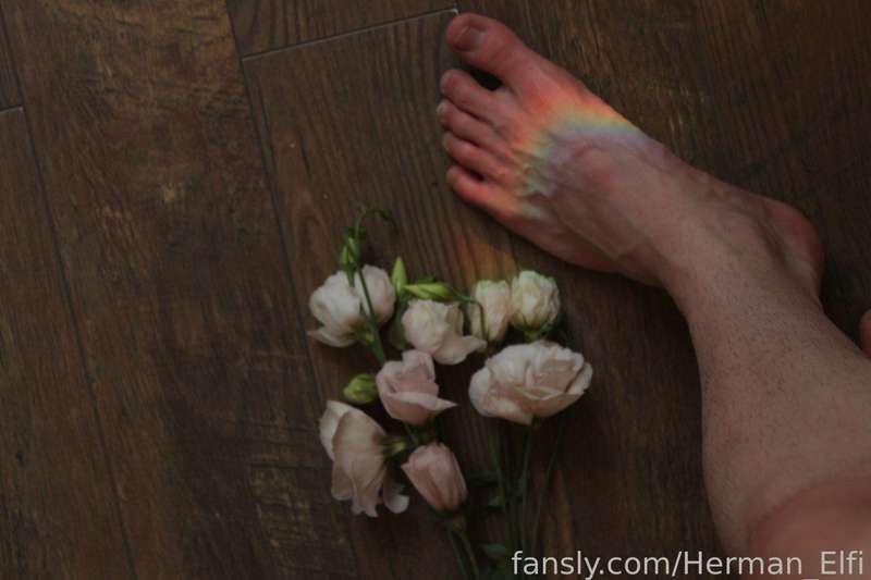 user427880893135200257 image #7