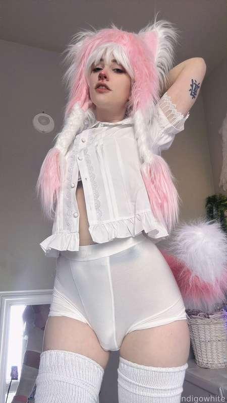 indigowhite image #138