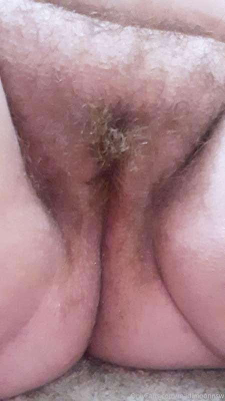 Here's a couple of bush progress pic for all my bushylovers!..