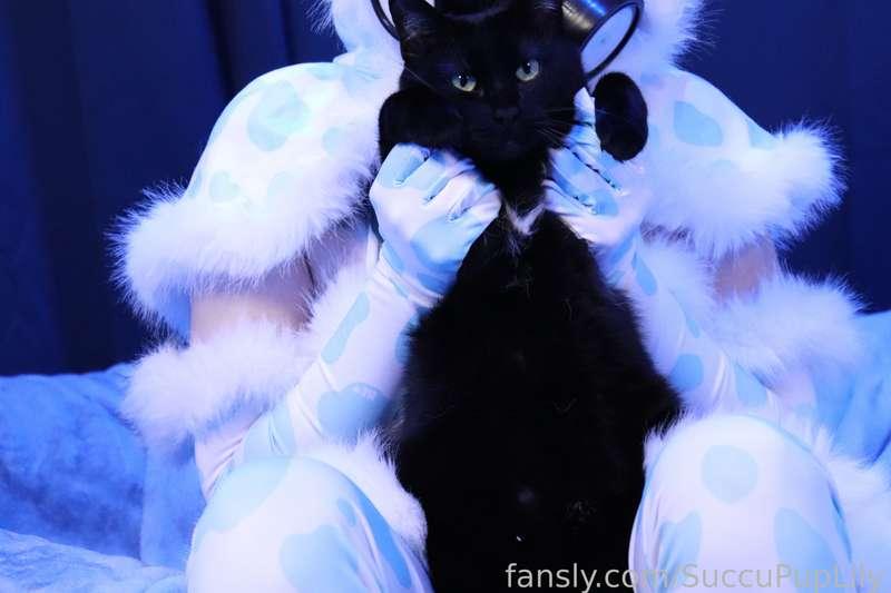 succupuplily image #12