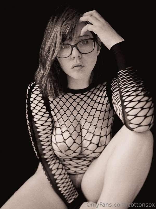 cottonsox image #1