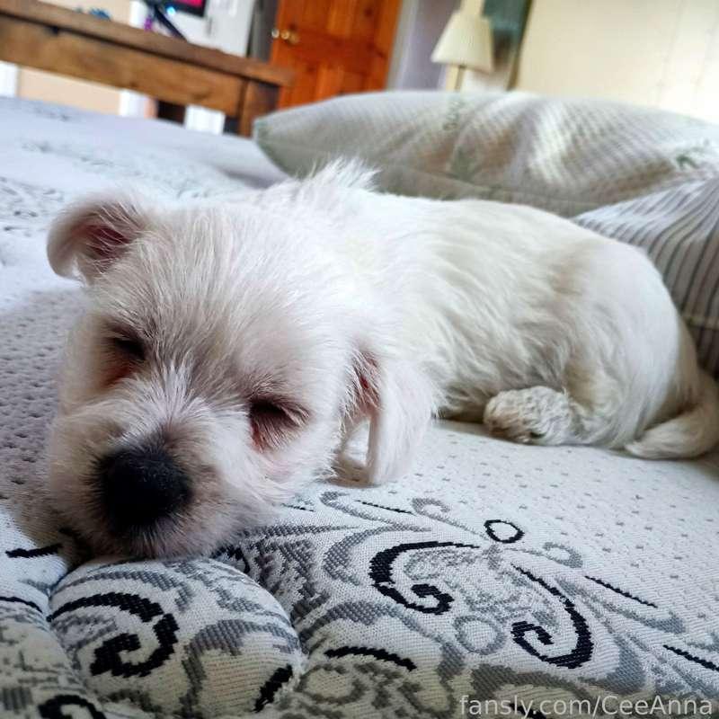 My wee baby arrived today. 🥰💕
