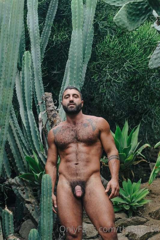 Hairy or smooth ?