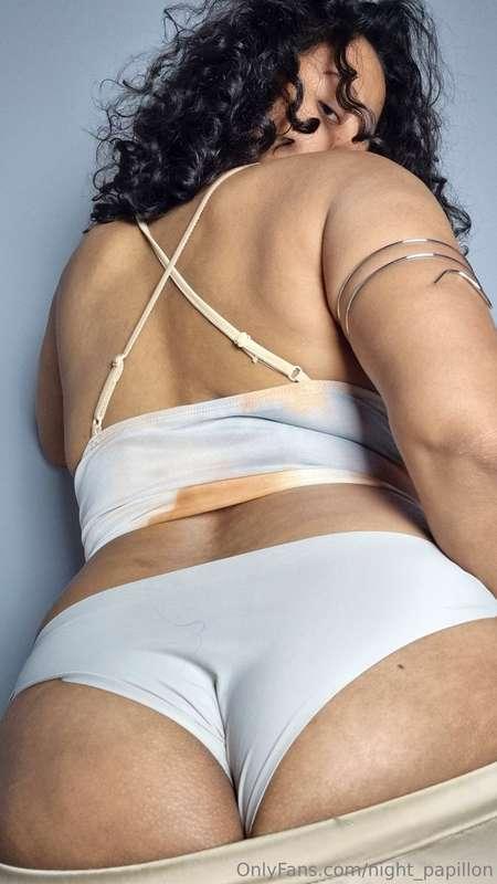 night_papillon image #2