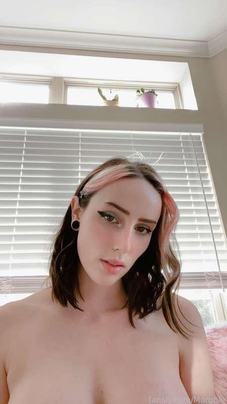 morgpie image #15